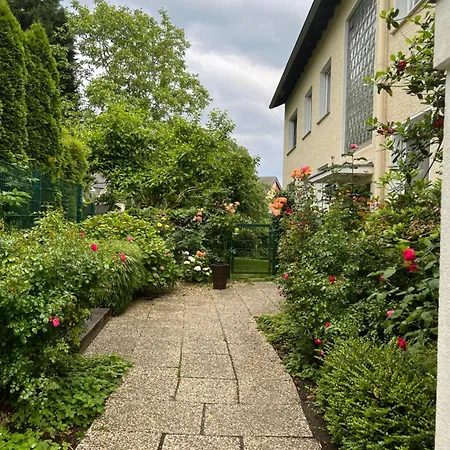 Charmante Souterrain דירה